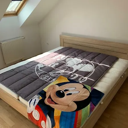 Mickey Mouse House - 80 M2 - Vulkan Furdo -spa Lejlighed *